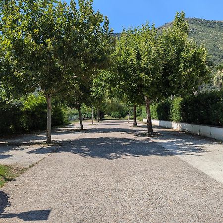 Hotel Del Sole Sora Dış mekan fotoğraf